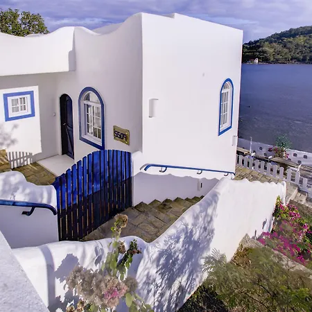 Vitalis Villas-3